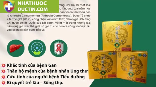 Nấm Ngưu Chương Chi bí quyết chăm sóc sức khỏe vượt bậc 18 loi ich cua nam nguu chuong chi