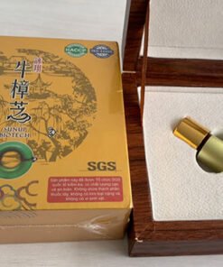 Nấm ngưu chương Quốc bảo Đài Loan – “Viên hồng ngọc” trong rừng 12 nam nguu chuong chi 1