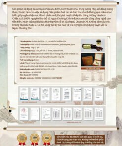 Nấm ngưu chương Quốc bảo Đài Loan – “Viên hồng ngọc” trong rừng 13 nam nguu chuong chi co gi hon so voi san pham cham soc suc khoe khac 1