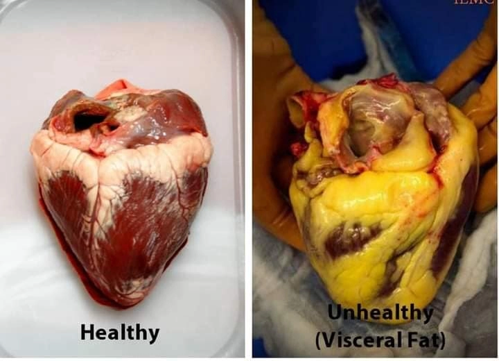 240453555 152133680402135 2482387826443763713 n