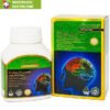 Viên uống Ginkgo Plus 6000 With Q10 50mg Vitatree hỗ trợ cải thiện trí nhớ (60 viên)