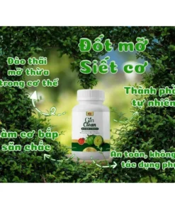 Đốt Mỡ Siết Cơ GINCLEAN - Viên Uống Giảm Cân MONICA - Giảm Cân Cấp Tốc USA 30 viên CHÍNH HÃNG 13 mnica5