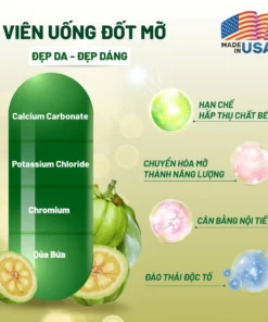 Đốt Mỡ Siết Cơ GINCLEAN - Viên Uống Giảm Cân MONICA - Giảm Cân Cấp Tốc USA 30 viên CHÍNH HÃNG 16 monica4