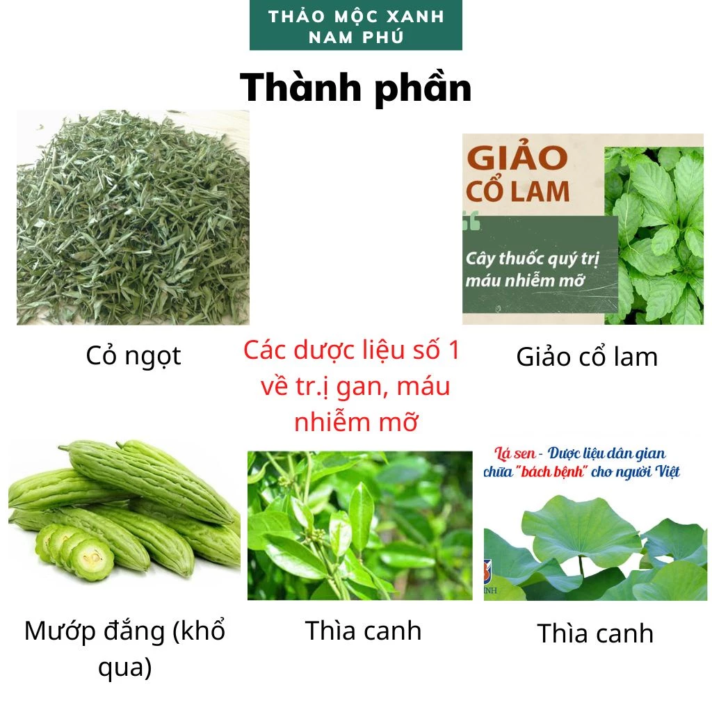 Trà Thảo Dược Giảm Mỡ Máu, Gan Nhiễm Mỡ, điều hòa đường huyết - Giảo Cổ Lam, Lá Sen 9 tramomau2