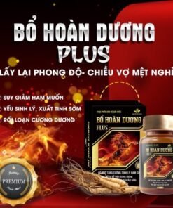 BỔ HOÀN DƯƠNG PLUS 50 hỗ trợ bổ thận, tăng cường sinh lực và sinh lý nam