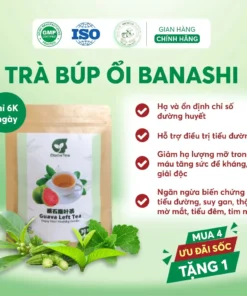 Trà Búp Ổi DiabeTea Nhật Bản Giảm Và Ổn Định Đường Huyết Tại Nhà , Ngăn Biến Chứng Tiểu Đường + QUÀ TẶNG 7 bupoi2 1