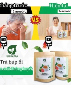 Trà Búp Ổi DiabeTea Nhật Bản Giảm Và Ổn Định Đường Huyết Tại Nhà , Ngăn Biến Chứng Tiểu Đường + QUÀ TẶNG 8 bupoi3