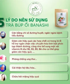 Trà Búp Ổi DiabeTea Nhật Bản Giảm Và Ổn Định Đường Huyết Tại Nhà , Ngăn Biến Chứng Tiểu Đường + QUÀ TẶNG 9 bupoo1
