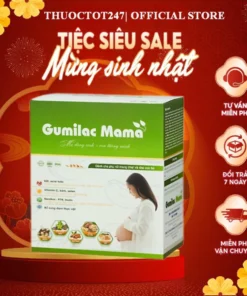 Sữa hạt Gumilac Mama 100% Đạm Thực Vật Dành Cho Mẹ Bầu - Hộp Giấy 400g 8 gumilac1 1