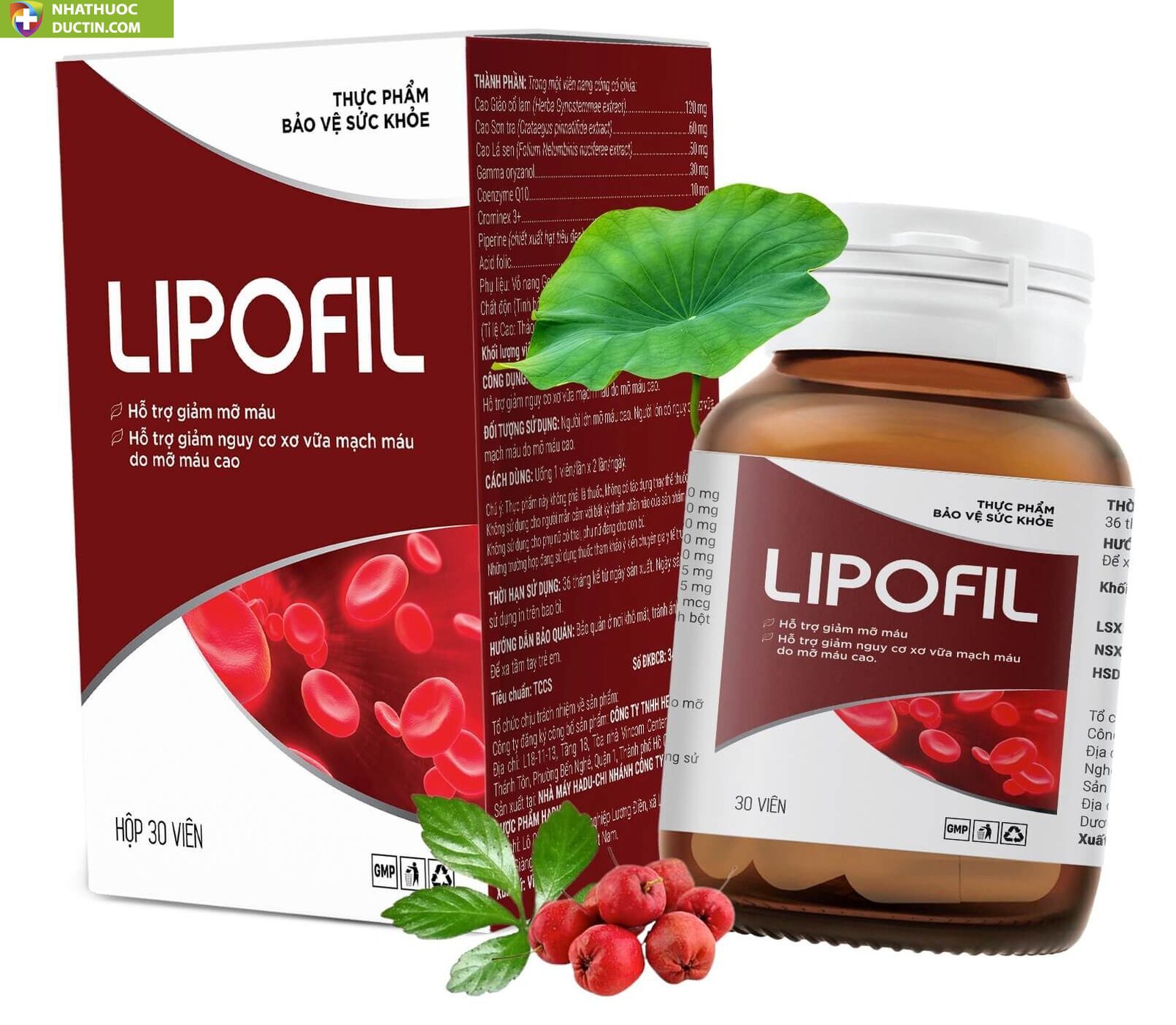 lipofil 6