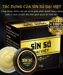 sin su dai viet 2 1