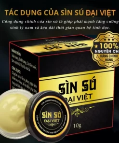 sin su dai viet 2 600x629 1
