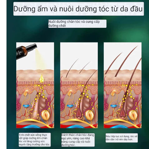 Chai Xịt Kích Thích Mọc Tóc Sâm Gừng Đồng Nhân Đường - Tinh Chất Xịt Sâm Gừng Nam Kinh TONGRENTANG Giảm Rụng Tóc 20 moctoc6