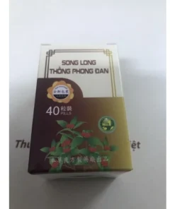 songlong5