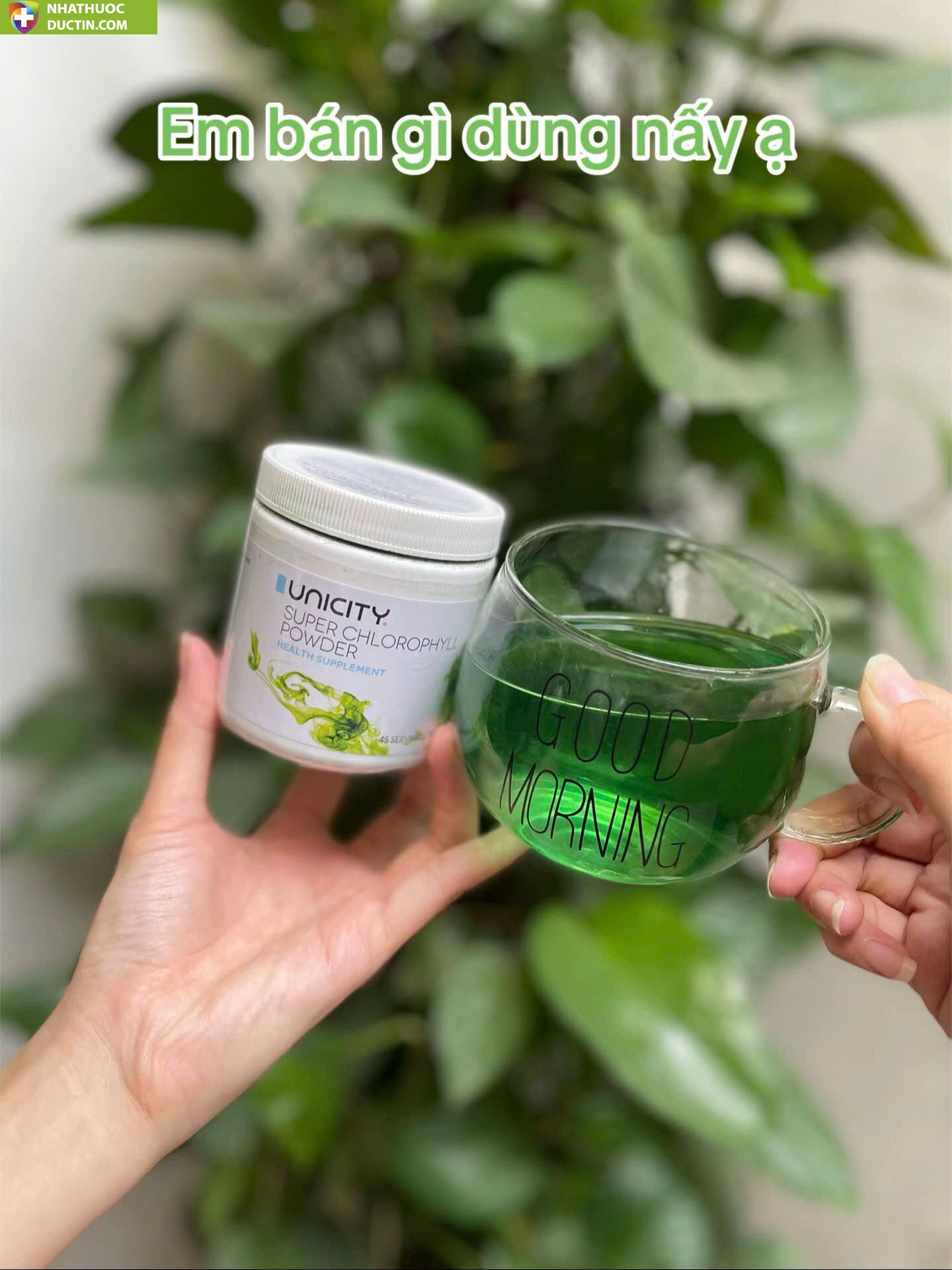 Bột diệp lục Unicity Super Powder Chlorophyll 92g - Mỹ 33 botdiep2 1