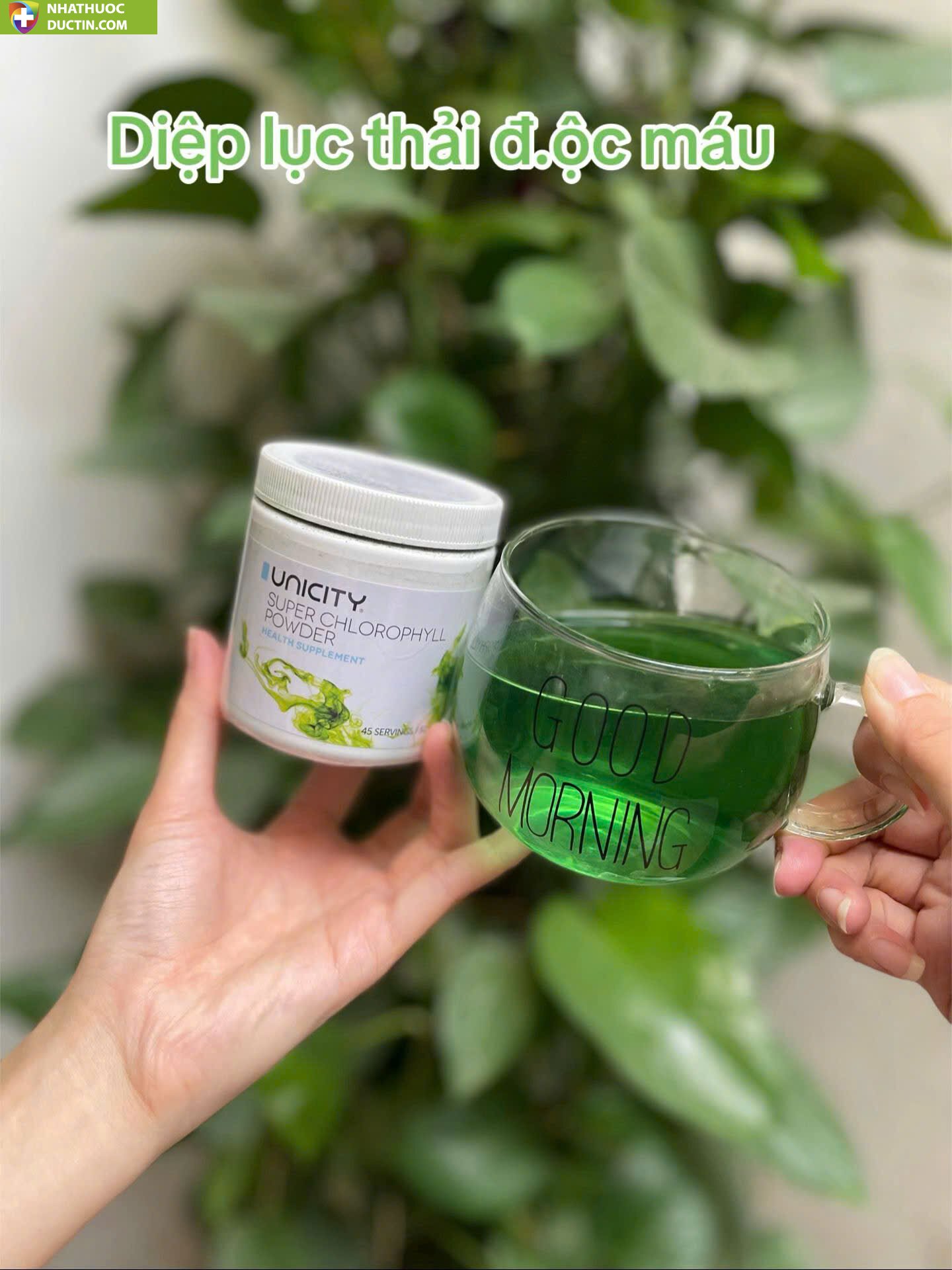 Bột diệp lục Unicity Super Powder Chlorophyll 92g - Mỹ 32 botdiepluc1