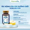 Viên Uống Canxi Tăng Chiều Cao Canxi PT PLus bổ sung Canxi chắc khỏe xương giúp tăng chiều cao