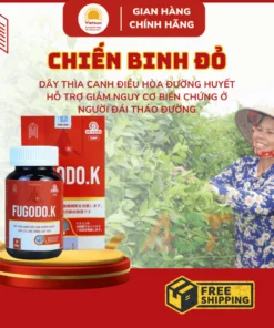 Viên uống dây thìa canh Fugodo.K giảm đường huyết và ngăn ngừa biến chứng - hộp 30V