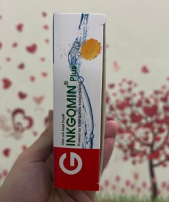 Ginkgomin Plus (Hộp 20 viên) 9 sui4 scaled