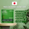 Trà Giảm Cân Lúa Xanh Nhật Bản , Thải độc giảm cân,Tốt Tiêu Hóa , Điều Hòa Giấc Ngủ Hộp 10 Gói