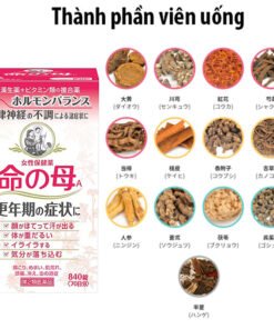 vien uong tien man kinh kobayashi nhat ban 840 vien can bang noi tiet to nu anh 001