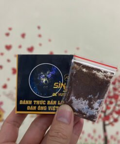 Sìn Sú Bột Đế Vương Đánh Thức Bản Lĩnh Đàn Ông Việt