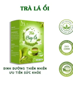 Trà Búp Ổi Túi lọc tan mỡ giảm cân hỗ trợ kiểm soát cân nặng an toàn ổn định đường huyết hộp 60 túi