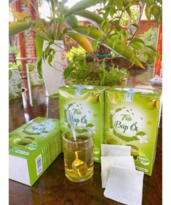 Trà Búp Ổi Túi lọc tan mỡ giảm cân hỗ trợ kiểm soát cân nặng an toàn ổn định đường huyết hộp 60 túi 15 bupoi7