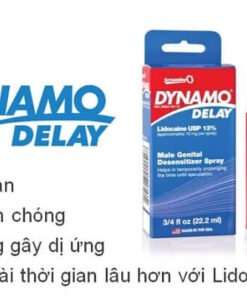 dynamo delay anh 01