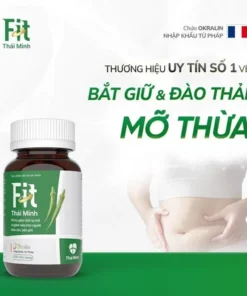 FIT Thái Minh - Hỗ trợ giảm béo, giảm tích tụ mỡ và giảm cân nặng - Hộp 120 viên