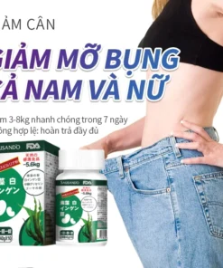 detox giảm cân thuốc giảm cân cấp tốc tiến trình giảm cân giảm cân an toàn và nhanh chóng, ức chế cảm giác thèm ăn01 12 giamcan2 1