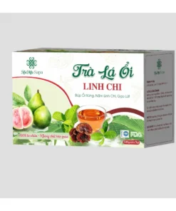 Hộp 50 Trà Túi Lọc Thảo Mộc Lá Ổi Hỗ Trợ Giảm Cân, Giảm Tiêu Chảy, Tiểu Đường, Trà Búp Ổi Rừng Nấm Linh Chi An Mộc Sapa 7 laoi3