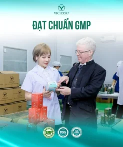 Giảm cân Nat Slim chính hãng Vicicorp (Natslim & Nat.slim x3) 15 natnim4