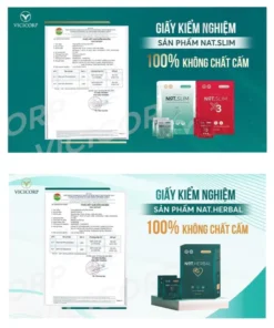 Giảm cân Nat Slim chính hãng Vicicorp (Natslim & Nat.slim x3) 17 natnim8