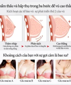 Kem nở ngực Kem làm săn chắc ngực 100g Hiệu Quả kích thích phát triển ngực tăng vòng size nhanh ,giúp chống lại tình trạng ngực chả 17 ngucto6