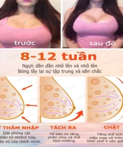 Dầu nở ngực tự nhiên giúp nâng, săn chắc, cải thiện tình trạng ngực chảy xệ và giúp ngực to hơn A-D 12 nonguc5