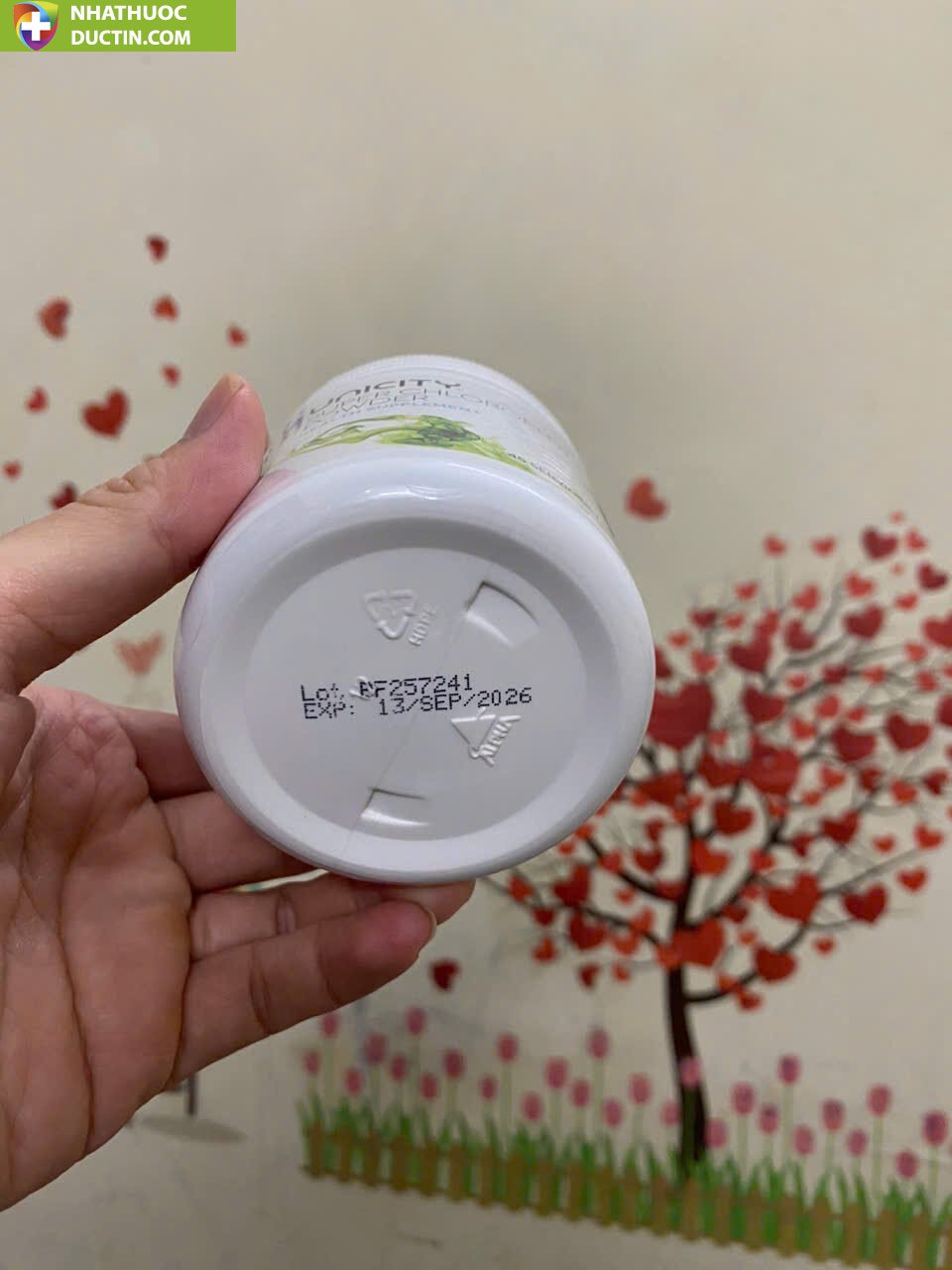 Bột diệp lục Unicitay Super Chlorophyll Powder 26 diepluc2