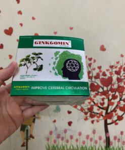 Ginkgomin Platinum hỗ trợ sức khỏe não bộ tăng cường tuần hoàn máu não 11 ginkgomin5