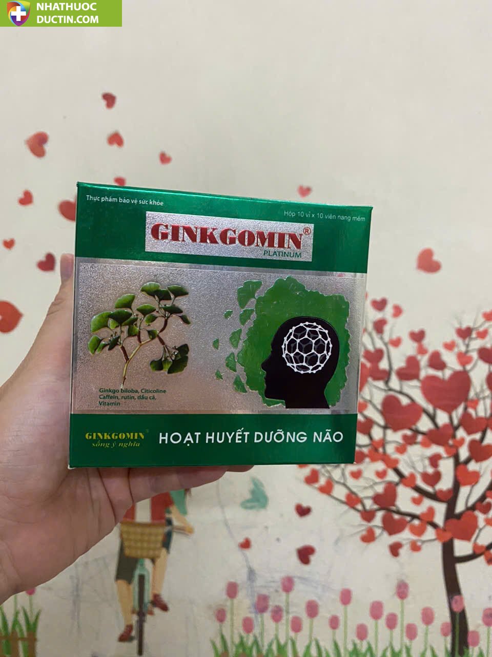 Ginkgomin Platinum hỗ trợ sức khỏe não bộ tăng cường tuần hoàn máu não 20 ginkomin1 2