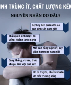 Alternative view of Trà bổ tinh trùng Calen Nature Farm tăng nồng độ tập trung của tinh trùng, cải thiện khả năng vận động của tinh binh