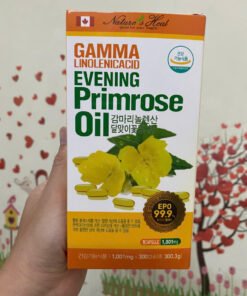 Tinh dầu hoa anh thảo Hàn Quốc Gamma Linolenic Acid 300 , Evening prirose oil hàn quốc chính hãng 9 anhthao2