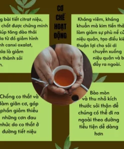 Alternative view of Trà Tán Sỏi Thảo Mộc Xanh - Giúp Đào Thải Cặn Sỏi, Tan Sỏi Thận, Sỏi Tiết Niệu, Hạn Chế Nguy Cơ Tạo Sỏi - Bịch 30 lọc
