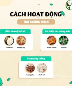 Trà Dưỡng Nhan -Thảo Mộc Xanh - Ấm Tử Cung, Cân Bằng Nội Tiết, Đẹp Da, Giảm Cân, Mát Gan, Thanh Lọc, Dễ Ngủ -Bịch 30 lọc 9 duongnhan5
