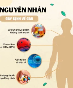 Alternative view of Trà Thải Độc Gan Thảo Mộc Xanh - Mát Gan, Giảm Mụn, Gan Nhiễm Mỡ , Giải Độc Gan, Cà Gai Leo - Bịch 30 Lọc