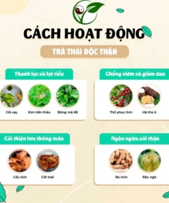 Alternative view of Trà Thải Độc Thận - Thảo Dược Ba Vì - V.iêm Thận Tiết Niệu, Sỏi Thận, Phục Hồi Thận -Túi 30 lọc