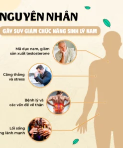 Alternative view of Trà Đông Trùng Hạ Thảo , trà bổ thận tăng cường sinh lý dứt điểm tình trạng xuất tinh sớm rối loạn cương dương