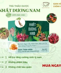 Trà Bổ Khí Nhất Dương Nam Ba Kích Ngọc Cẩu, Nhân Sâm, Nấm Linh Chi, Đông Trùng