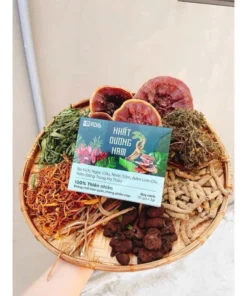 Trà Bổ Khí Nhất Dương Nam Ba Kích Ngọc Cẩu, Nhân Sâm, Nấm Linh Chi, Đông Trùng 9 nhatduong4