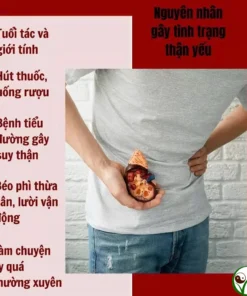 Trà Bổ Thận Dương - Chống Xuất Tinh Sớm, Rối Loạn Cương Dương, Bổ Thận Tráng Dương 17 othan5
