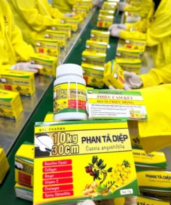 [ Chính Hãng ] Xổ Mỡ Giảm Cân PHAN TẢ DIỆP Mẫu Mới Giảm mỡ siêu nhanh